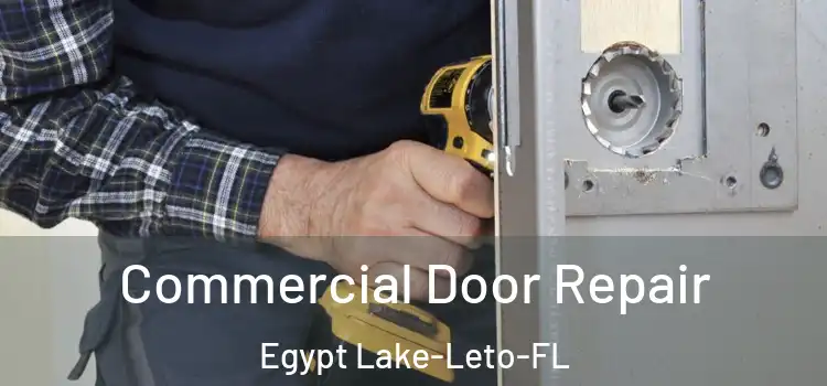  Commercial Door Repair Egypt Lake-Leto-FL