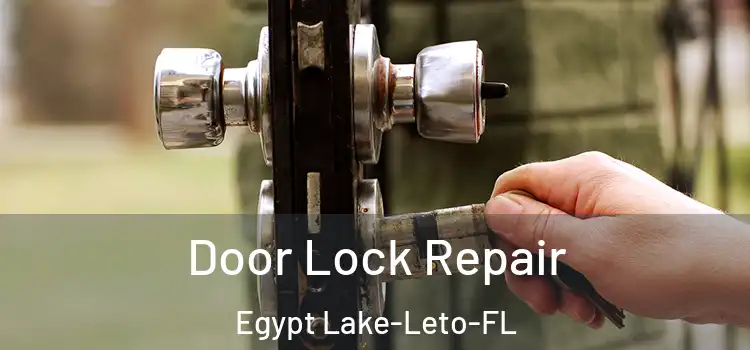  Door Lock Repair Egypt Lake-Leto-FL