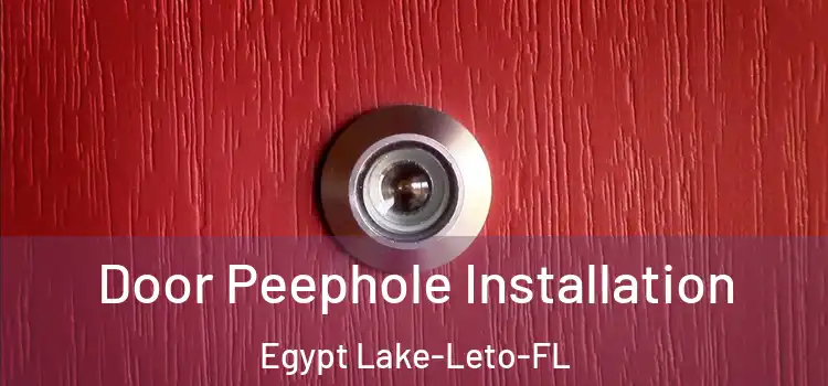  Door Peephole Installation Egypt Lake-Leto-FL