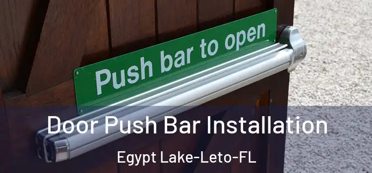  Door Push Bar Installation Egypt Lake-Leto-FL
