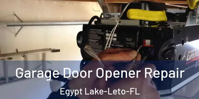 Garage Door Opener Repair Egypt Lake-Leto-FL