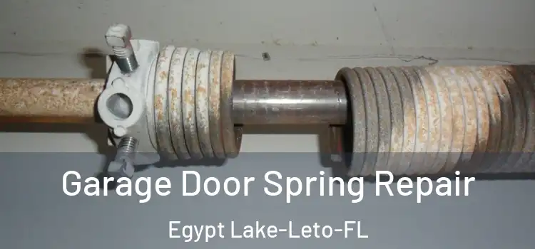  Garage Door Spring Repair Egypt Lake-Leto-FL