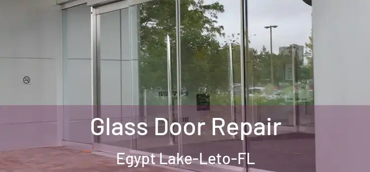  Glass Door Repair Egypt Lake-Leto-FL