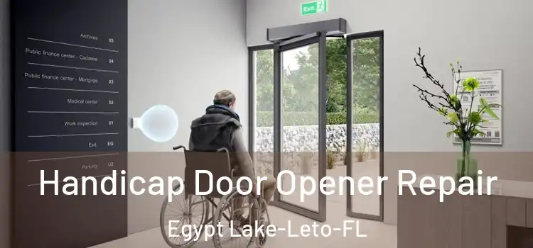  Handicap Door Opener Repair Egypt Lake-Leto-FL