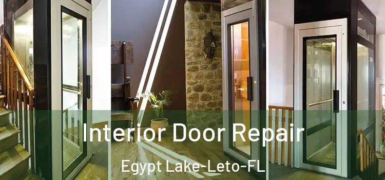  Interior Door Repair Egypt Lake-Leto-FL