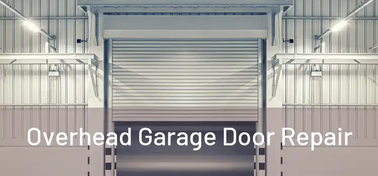  Overhead Garage Door Repair 