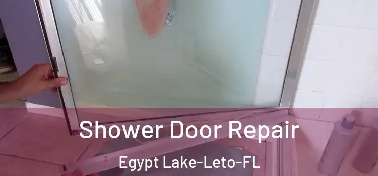  Shower Door Repair Egypt Lake-Leto-FL
