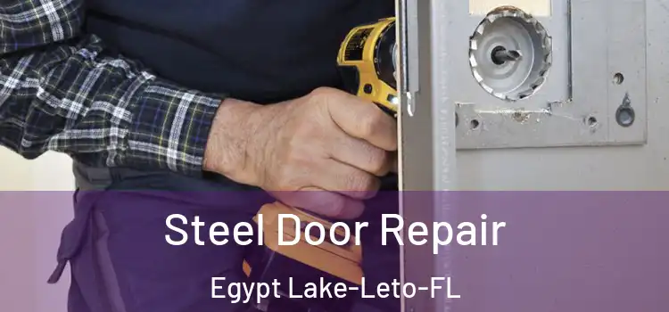  Steel Door Repair Egypt Lake-Leto-FL